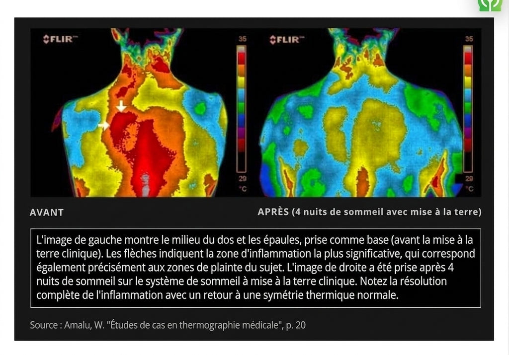 Drap de mise à la terre